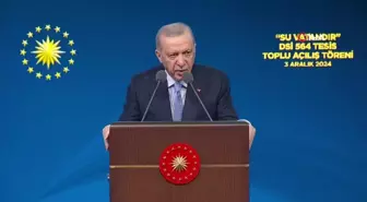 Cumhurbaşkanı Erdoğan, toplu açılış töreninde konuştu: (2)