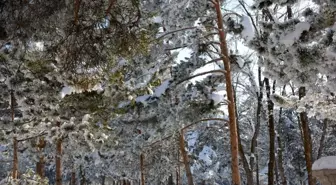 Erzurum'un Aşkale İlçesinde Yaz Gündüzleri Kış Geceleri