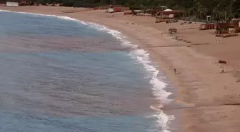 Muğla'da Sağanak Yağışlar Tarımı ve Yaşamı Olumsuz Etkiledi