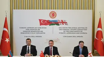 Türkiye, Azerbaycan ve Gürcistan Arasında Üçlü Diplomasi Toplantısı