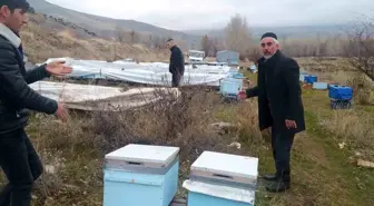 Van'da Ayılar Arı Kovanlarına ve Kümes Hayvanlarına Saldırdı