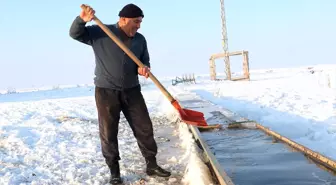 Erzurum'da Besiciler Soğuk Kış Koşullarında Mücadele Ediyor