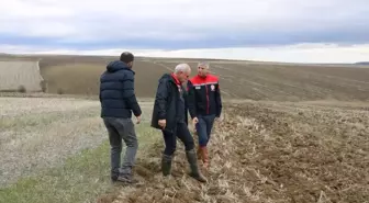 Edirne'de Ayçiçeği Üretiminde Yeni Ekim Yöntemleri Denenecek