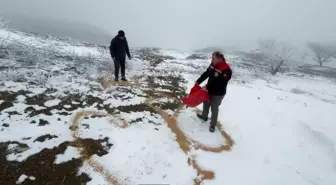 Erzincan'da Yabani Hayvanlar İçin Yem Bırakıldı