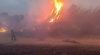 Hatay Kırıkhan'da Sazlık Alanda Yangın Çıktı