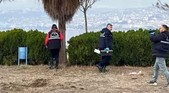 Kocaeli'nde Denizde Ceset Bulundu