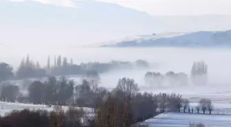 Sivas'ın Hafik İlçesinde Soğuk Hava ve Sis Etkili