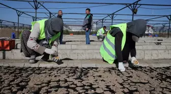 Van'da 2 Milyon Meyve Fidanı Toprakla Buluşturuldu