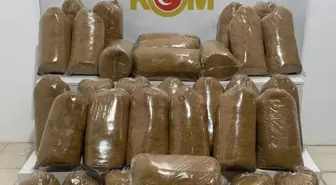 Samsun'da Kaçak Tütün Operasyonu: 200 Kilogram Ele Geçirildi