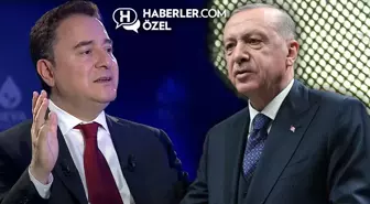 Babacan'dan net tavır: Yüzde 5'lik bir ihtimal dahi olsa destek veririz