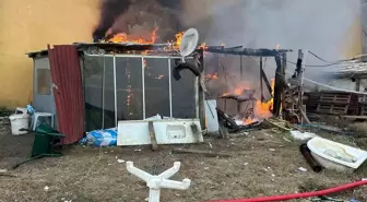 Tekirdağ'da Koyun Ağılında Yangın Çıktı