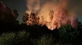 Hatay'da Sazlık Alanda Yangın Kontrol Altına Alındı