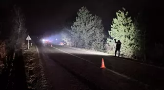 Kastamonu'da Çam Ağaçlarına Çarpan Araçta 1 Ölü, 1 Yaralı