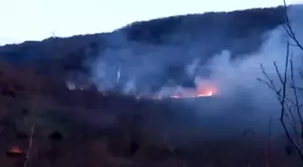 Bolu Mudurnu'da Çıkan Örtü Yangını Paniğe Neden Oldu