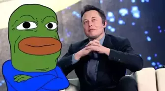 PEPE coin Musk rüzgarıyla hareketlendi! Yükseliş geçici mi kalıcı mı?