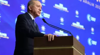 Cumhurbaşkanı Erdoğan: Türkiye'de işkenceye biz son verdik