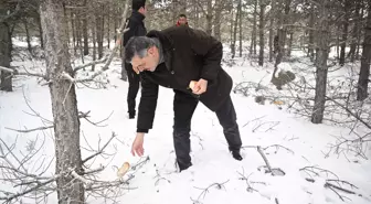 Erzurum'da Yaban Hayvanları İçin Yem Bırakma Etkinliği Düzenlendi