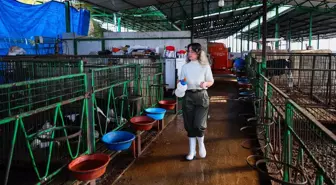 Pandemi Döneminde Kırsala Yerleşip Girişimci Oldu