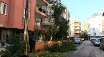 Antalya'da Ağaç Kesimi Elektrik Kesintisine ve Yangına Neden Oldu