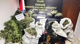 Ödemiş'te Uyuşturucu Operasyonu: 1 Şüpheli Tutuklandı