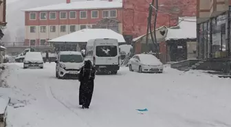 Karlıova'da Yoğun Kar Yağışı Etkili Oldu