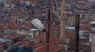 Yeşilhisar'da Elektrik Direğinde Mahsur Kalan Kedi Kurtarıldı