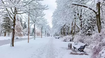 La Nina kışı nedir, nasıl geçer? Kar ne zaman yağacak? Meteoroloji'den La Nina uyarısı!