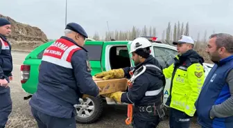 Muş'ta Elektrik Tellerine Sıkışan Puhu Kuşu Kurtarıldı