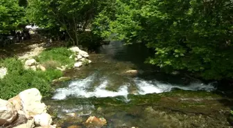 Sugözü Orman Parkı, Sürdürülebilir Doğal Güzellik Alanı Olacak