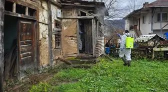 Yığılca'da Fındık Zararlısıyla Mücadele Başladı