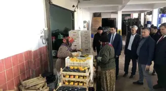 Bilecik'te Tarım Ürünleri Soğuk Hava Depolarında Paketleniyor