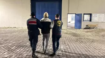 Afyonkarahisar'da Büyükbaş Hayvan Hırsızlığına 3 Tutuklama