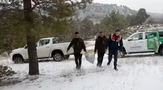 Sarıkamış'ta Yaban Hayvanları için Yemleme Çalışması