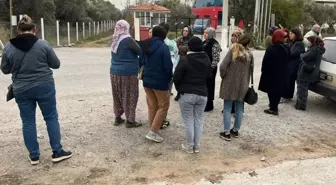 Ürünleri Avrupa'dan dönen işletme iflas etti, alacaklılar soluğu fabrikada aldı