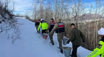 Tatvan'da Yaban Hayvanları İçin Yem Bırakıldı