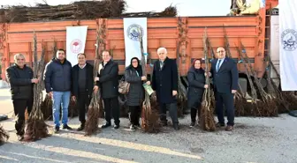 Denizli, 'Cevizin Başkenti' Olma Hedefiyle 50 Bin Ceviz Fidanı Dağıtacak