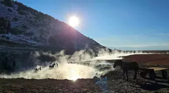 Bitlis'te Atlar Kaplıcada Yıkanıyor