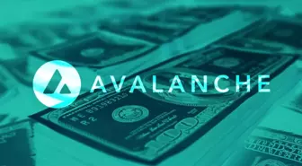 Avalanche Blockchain ağında yeni dönem