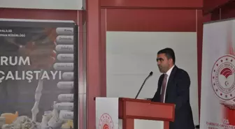 Erzurum'da Süt Kalitesi Çalıştayı Düzenlendi