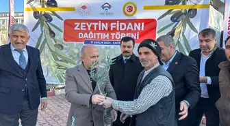 Adıyaman'da 62 Bin Zeytin Fidanı Dağıtıldı