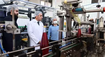Bilecik'te Geleneksel İçecek Üretim Tesisi Ayda 600 Ton Kapasiteyle Faaliyet Gösteriyor