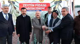 Adıyaman'da 70 Bin Zeytin Fidanı Dağıtıldı