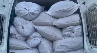 Kocaeli'de 1 Ton 600 Kilogram Kaçak Tütün Ele Geçirildi