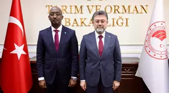 Tarım ve Orman Bakanı Yumaklı, Somalili mevkidaşı Aden ile görüştü Açıklaması