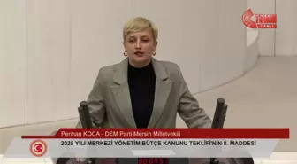 Perihan Koca: 2025 Bütçesi Saray'ın Şatafatına Gidiyor