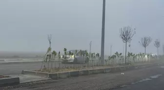 Çorlu'da Yoğun Sis Hayatı Olumsuz Etkiledi