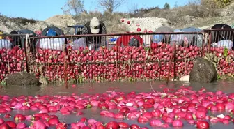 Kadirli Turpu Hasat Döneminde Yüksek Fiyatlarla Satışta