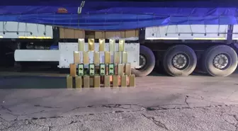 Aydın'da 34 Ton Tağşişli Zeytinyağı Ele Geçirildi