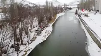 Buzdan Kurtarma: Baba ve Çocukları Sokak Köpeğini Kurtardı