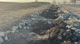 Tunceli'de belediyenin diktiği dut fidanları çalındı